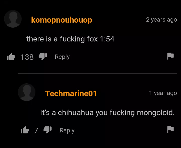 fox or Chihuahua? We'll never know