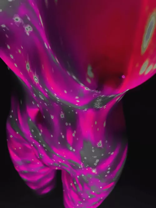 Morning, how was your 🦋 last night?