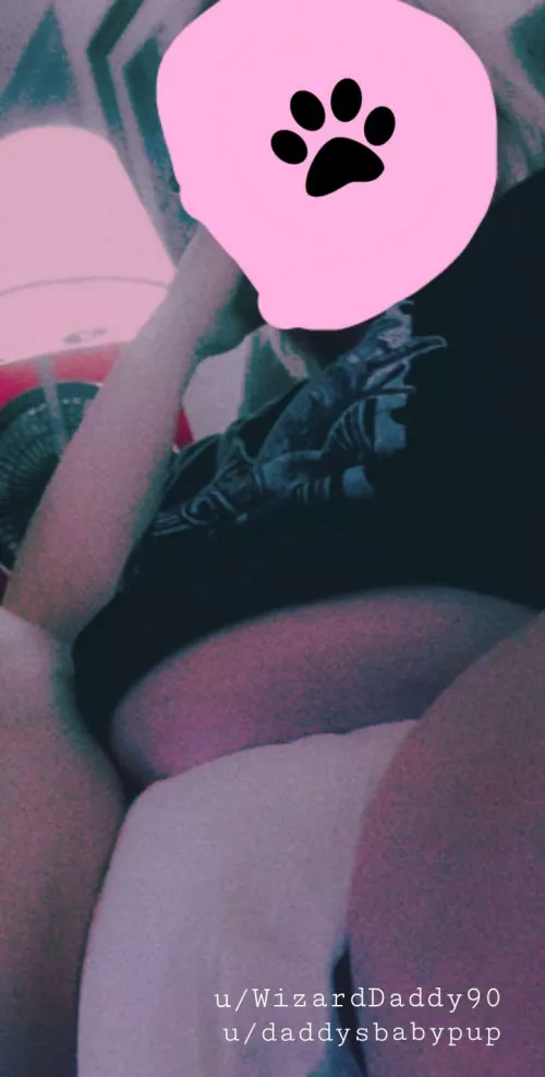 My beautiful little babypup is a little shy about her new undies.