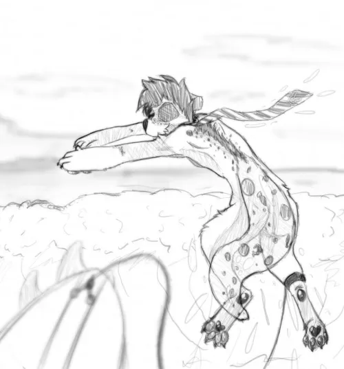 Otter sketch I made today (OC)