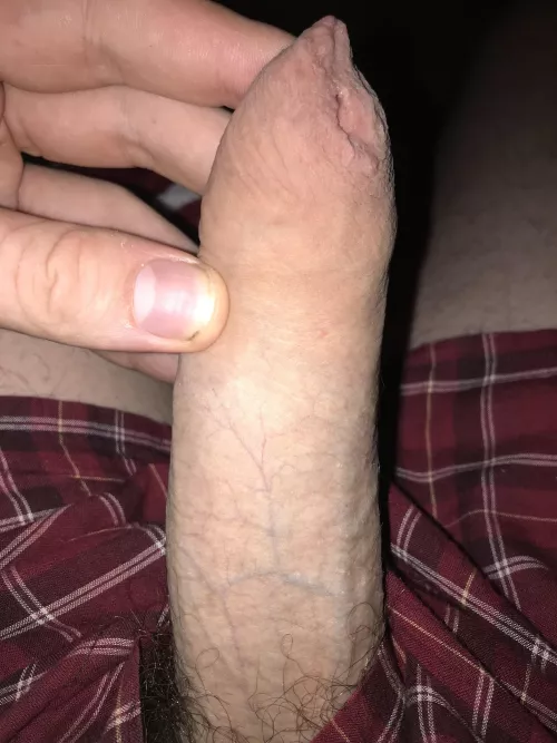 Simple uncut dick