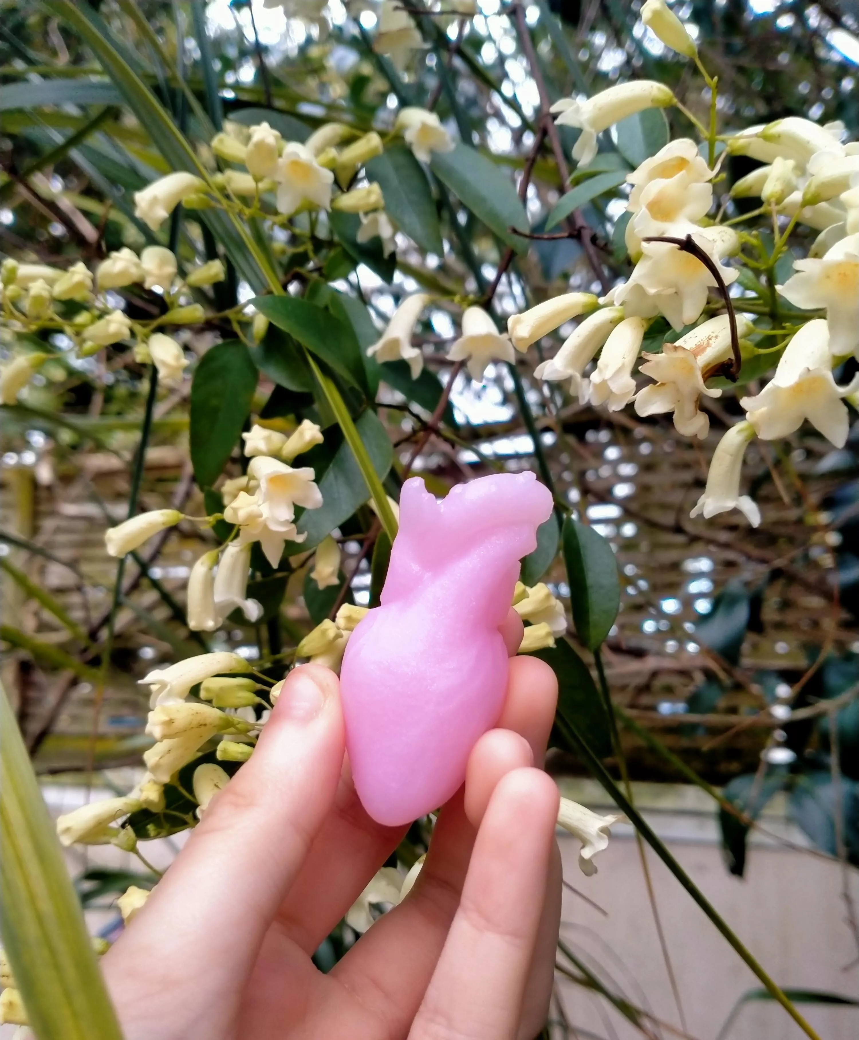 would it be cringy to say to a guy I like that my heart is only for him then give him this?