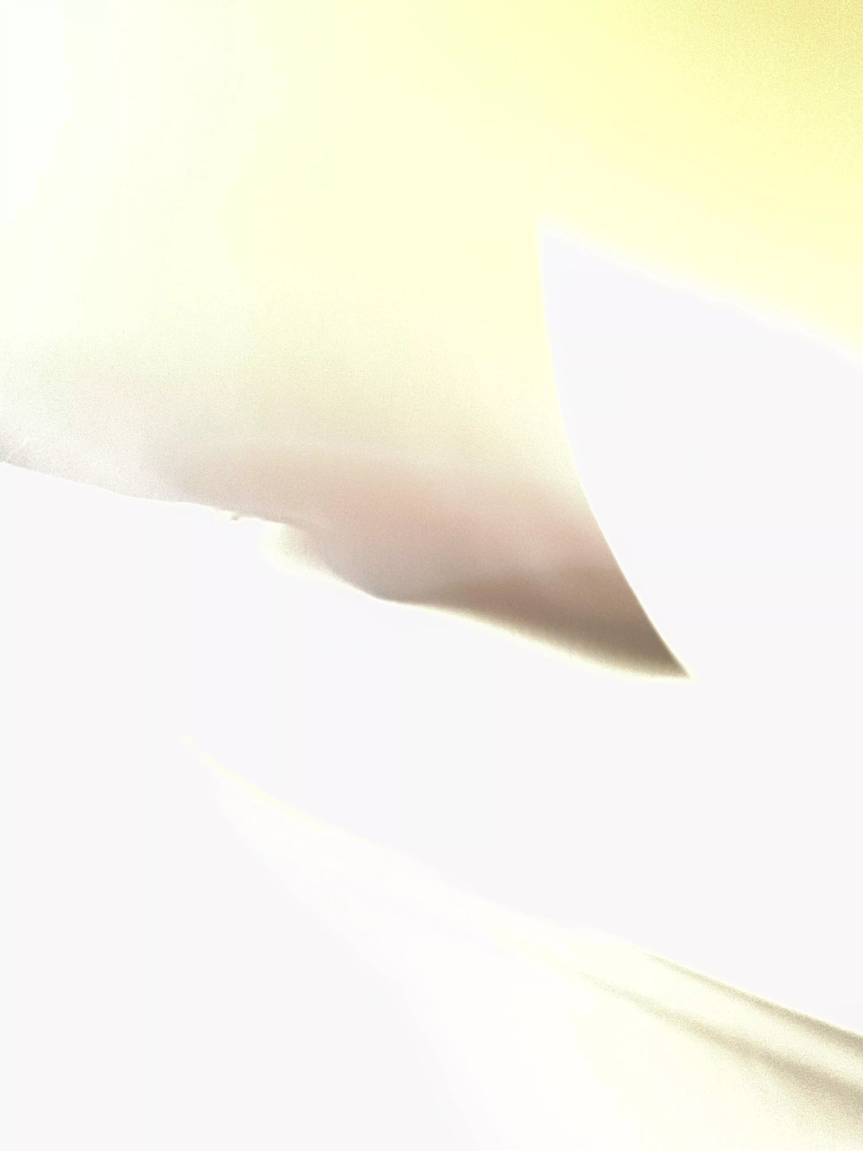 Any know any discord or telegram chats that have full videos. For example fm concepts? If so please share link.