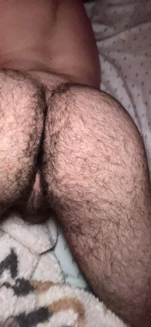 Anyone like hairy ass?