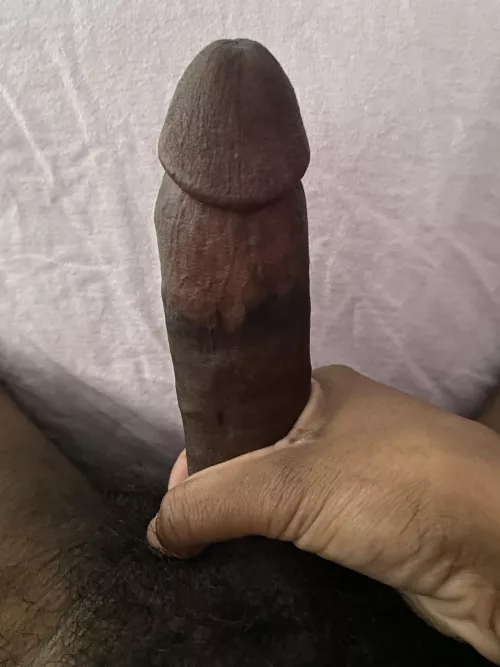 Care to keep this Black Cock company? Should I posts more?