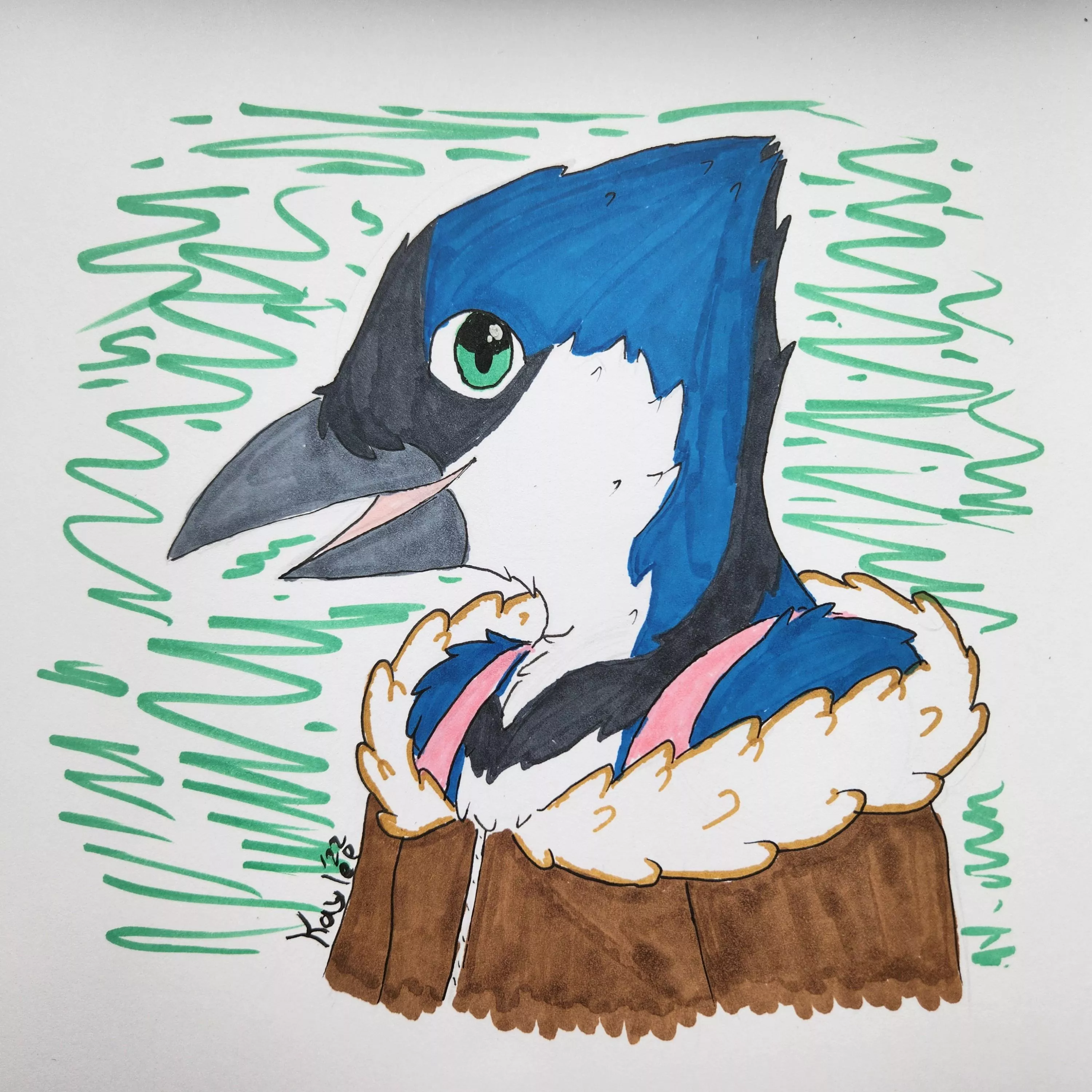 Finally drew my Blue Jay again! He has a very impractical jacket :3 [OC, Art by me]
