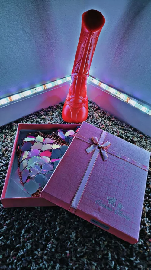 Got my Vector in the mail yesterday I can't wait to have fun with it 😍