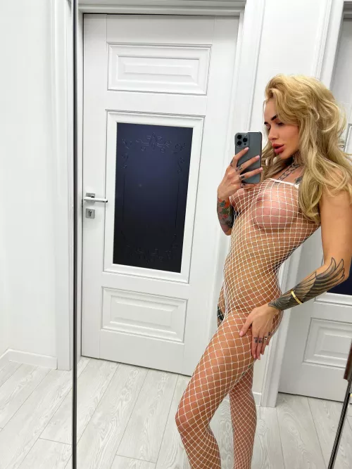 I’m a free use breeding pup!