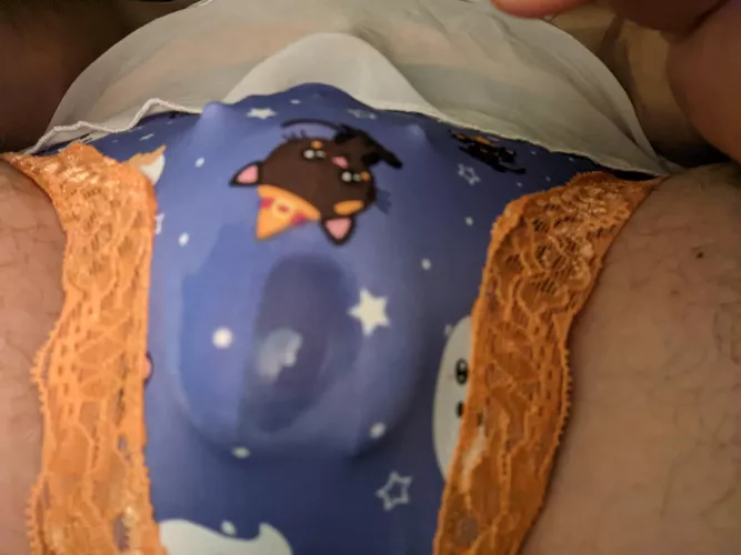 My new Splendies came in!