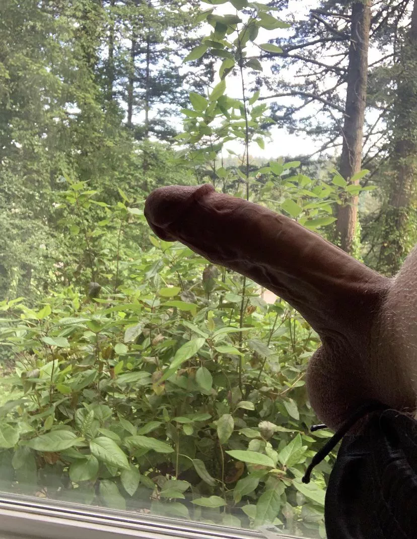 What y’all think?? Like the view