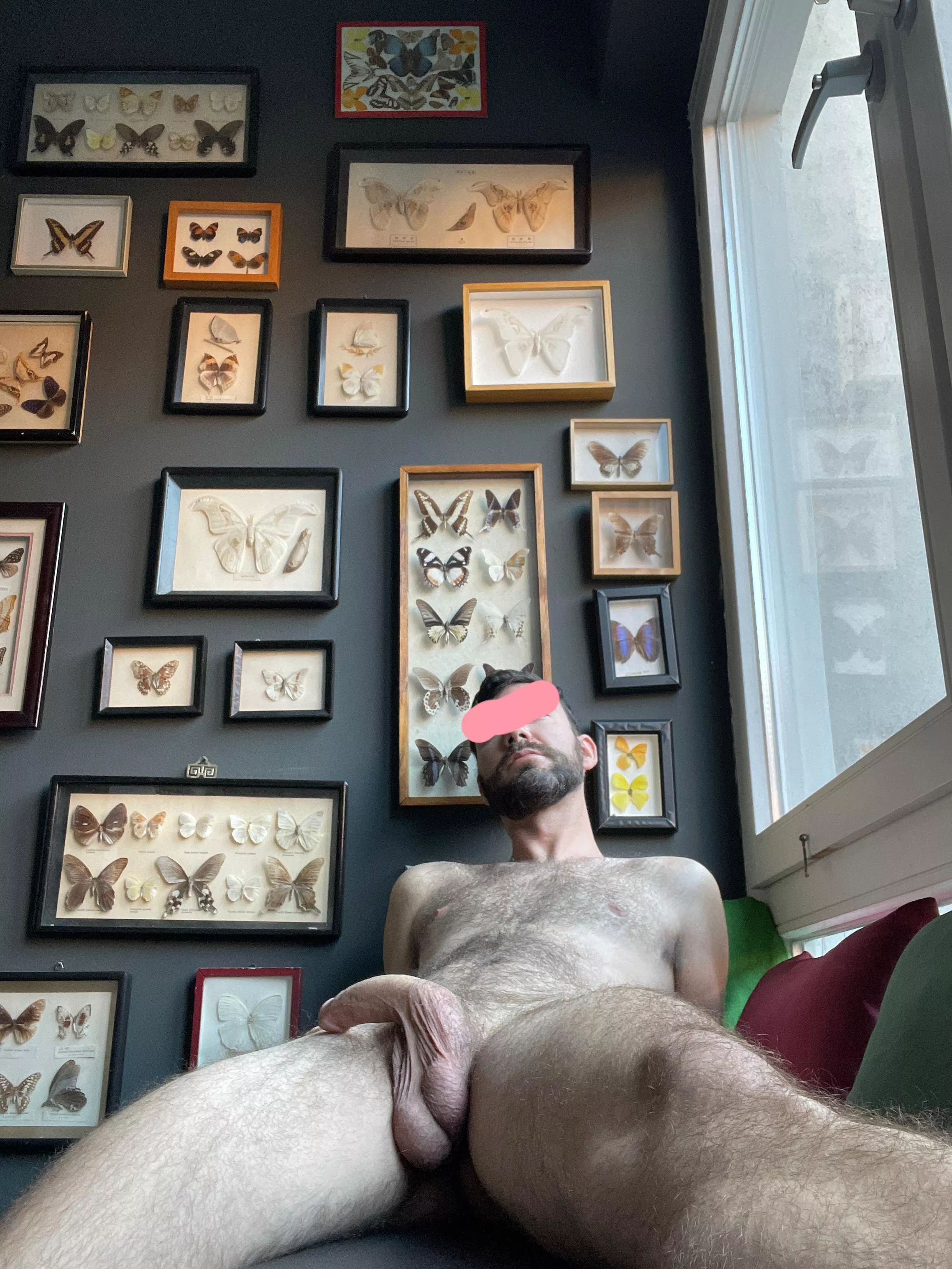 Brought my own butterfly