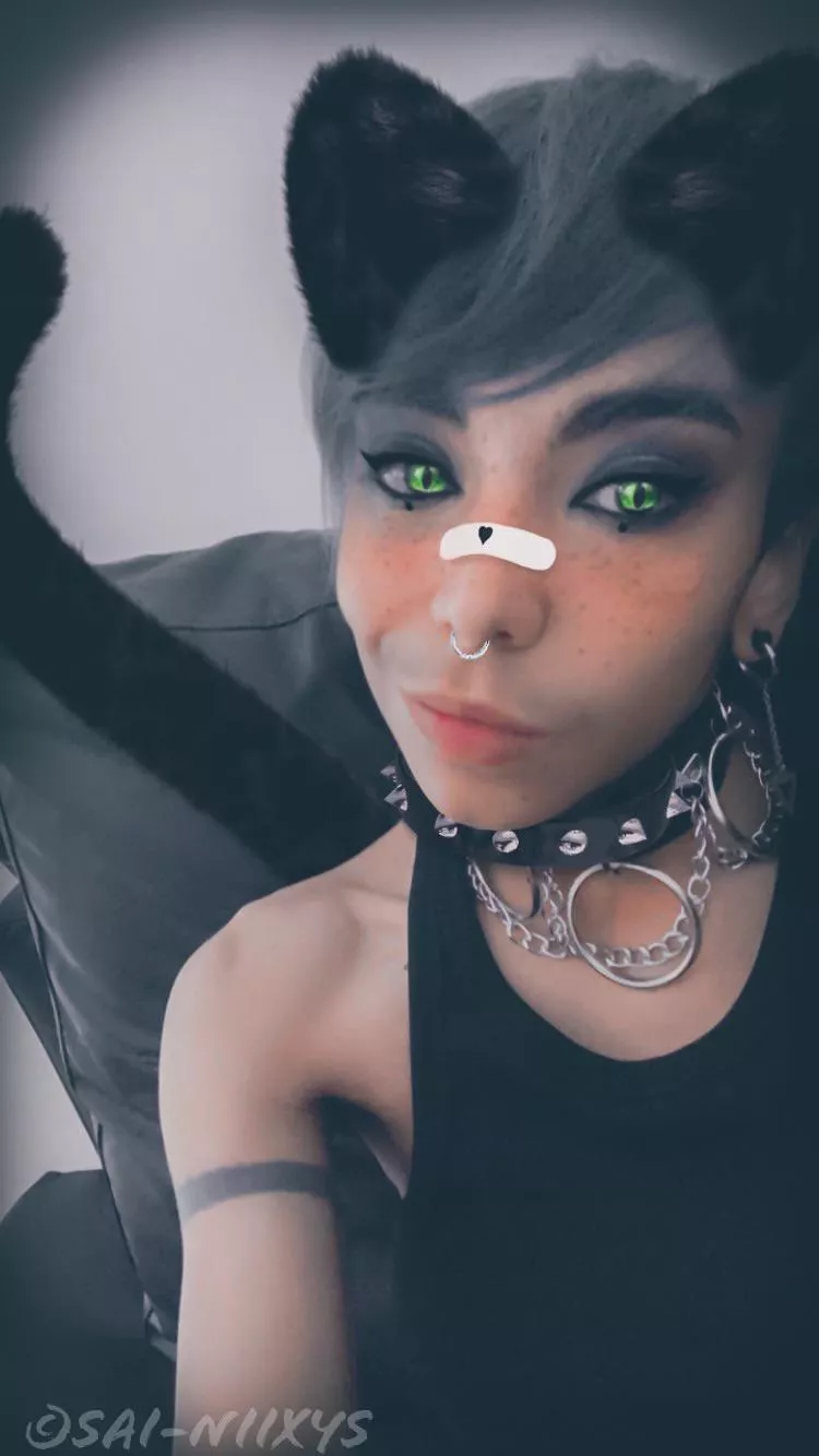 Hey everyone how’s it going~? ;3 [He/They]