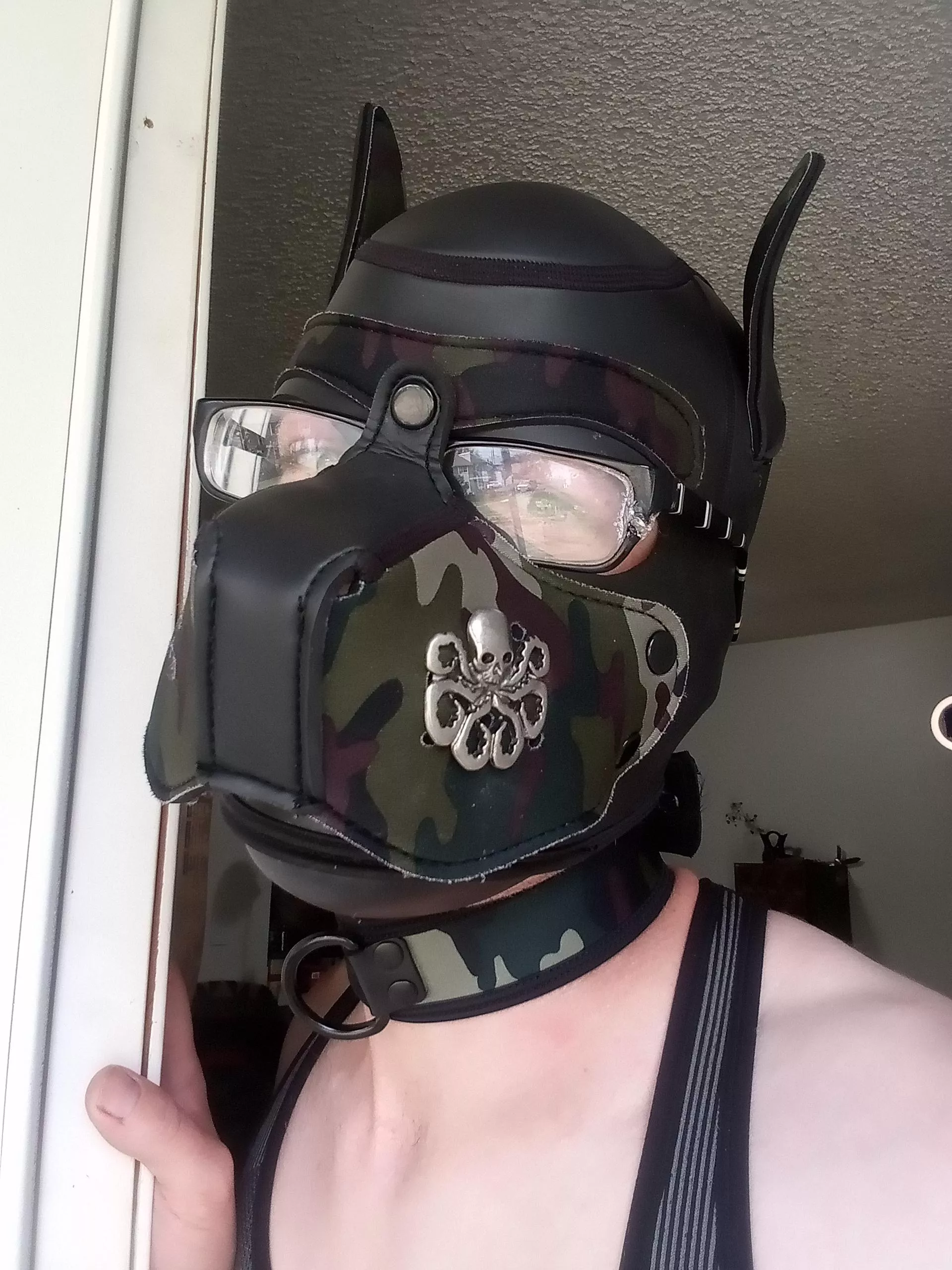 Kalli just wanted y'all to know, hail Hydra! ✊