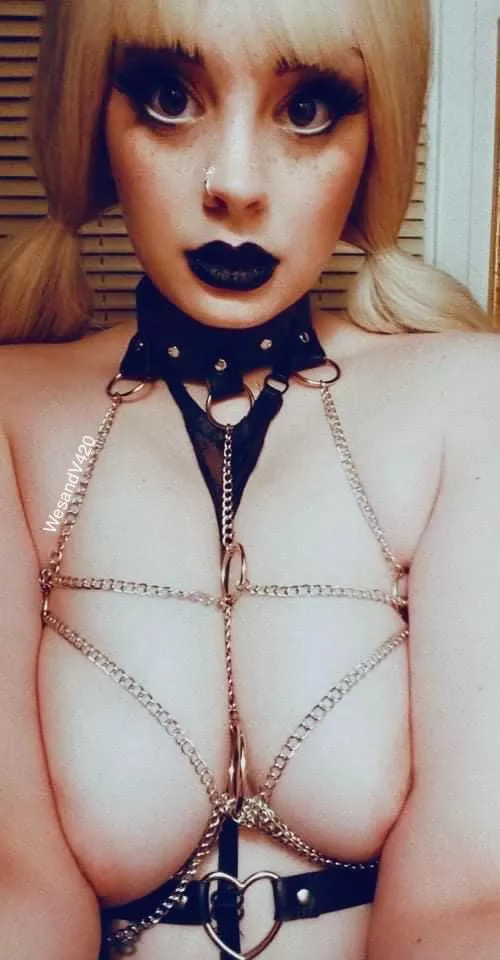 If I show you my pussy will you show me your cock?🥵