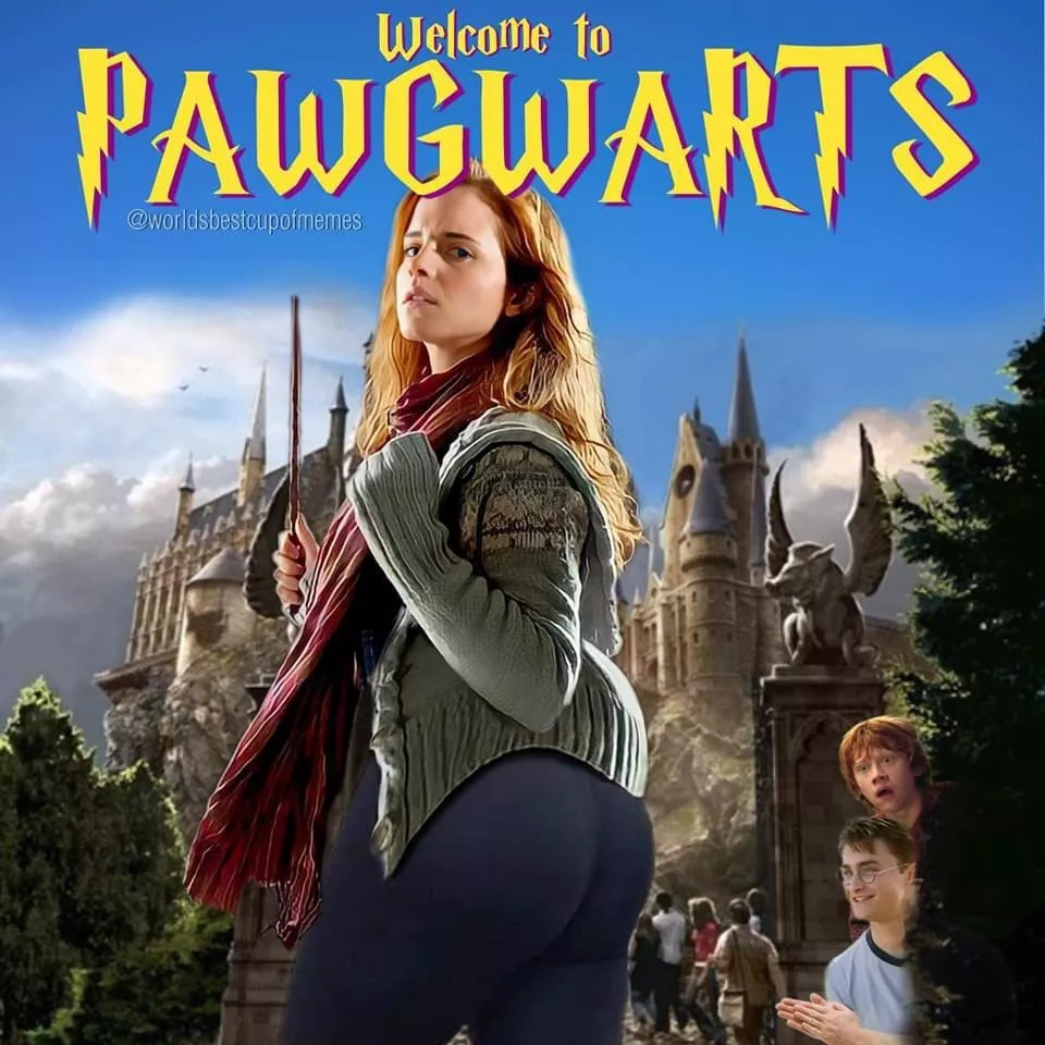 Are there any spoofs out there of Harry Potter? I know this one isn’t real.