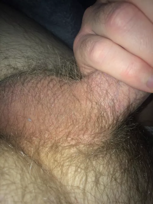 Ask me about my *BALLS*