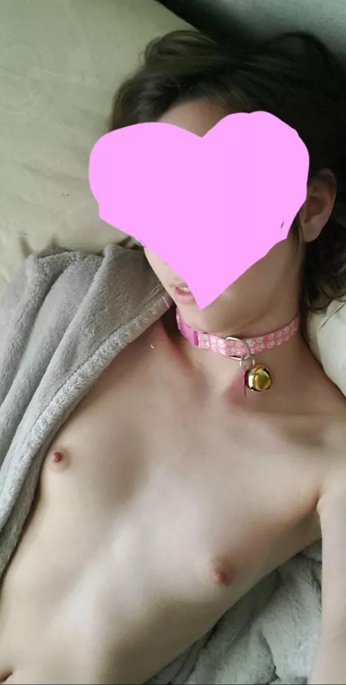 Good petgirls wear their collars!