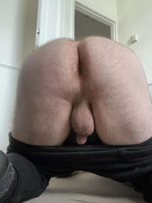 Bored working from home, how’s the view back there?