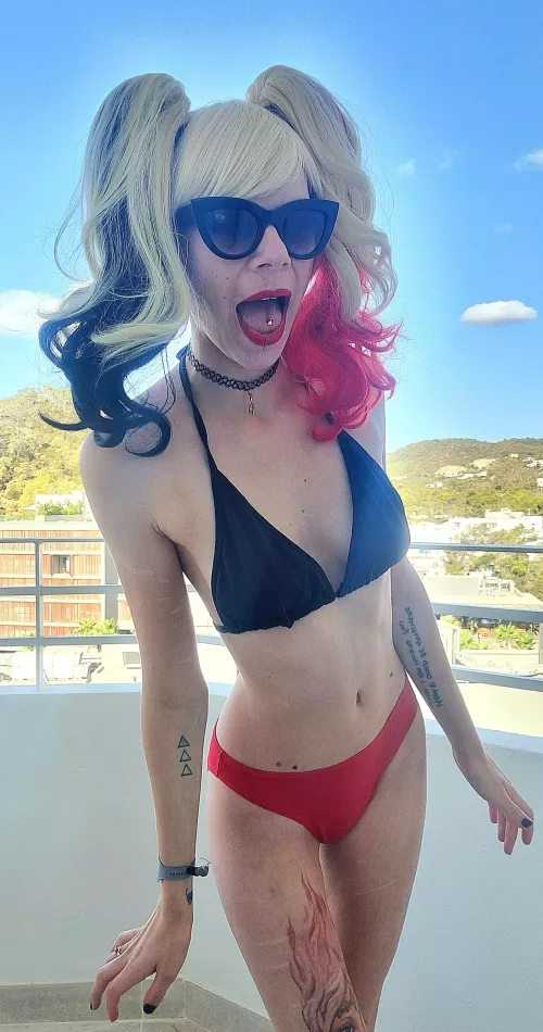Harley on holiday ❤️🖤