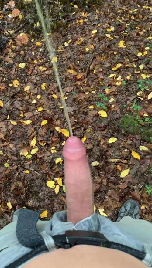 In a forest someone saw me😋 Any piss lovers here? Hmu in dms, please 18 to 35 max