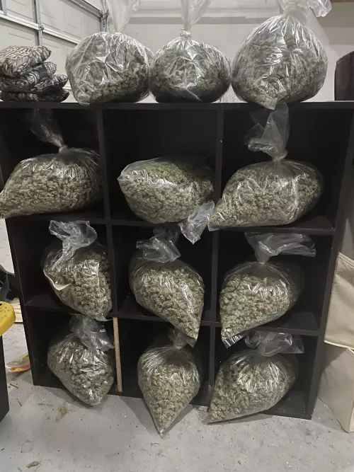 Let’s get high and trim!