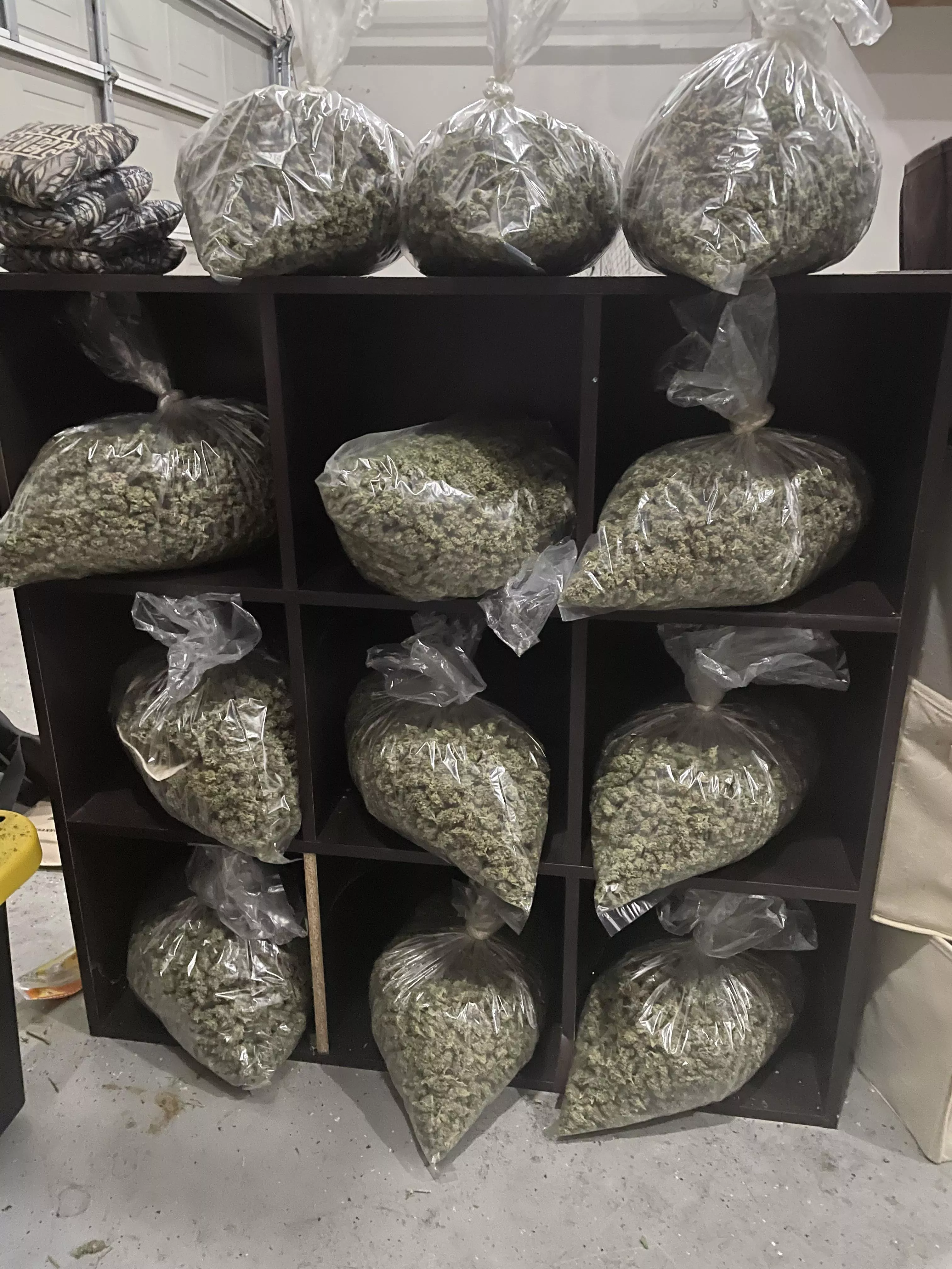 Let’s get high and trim!