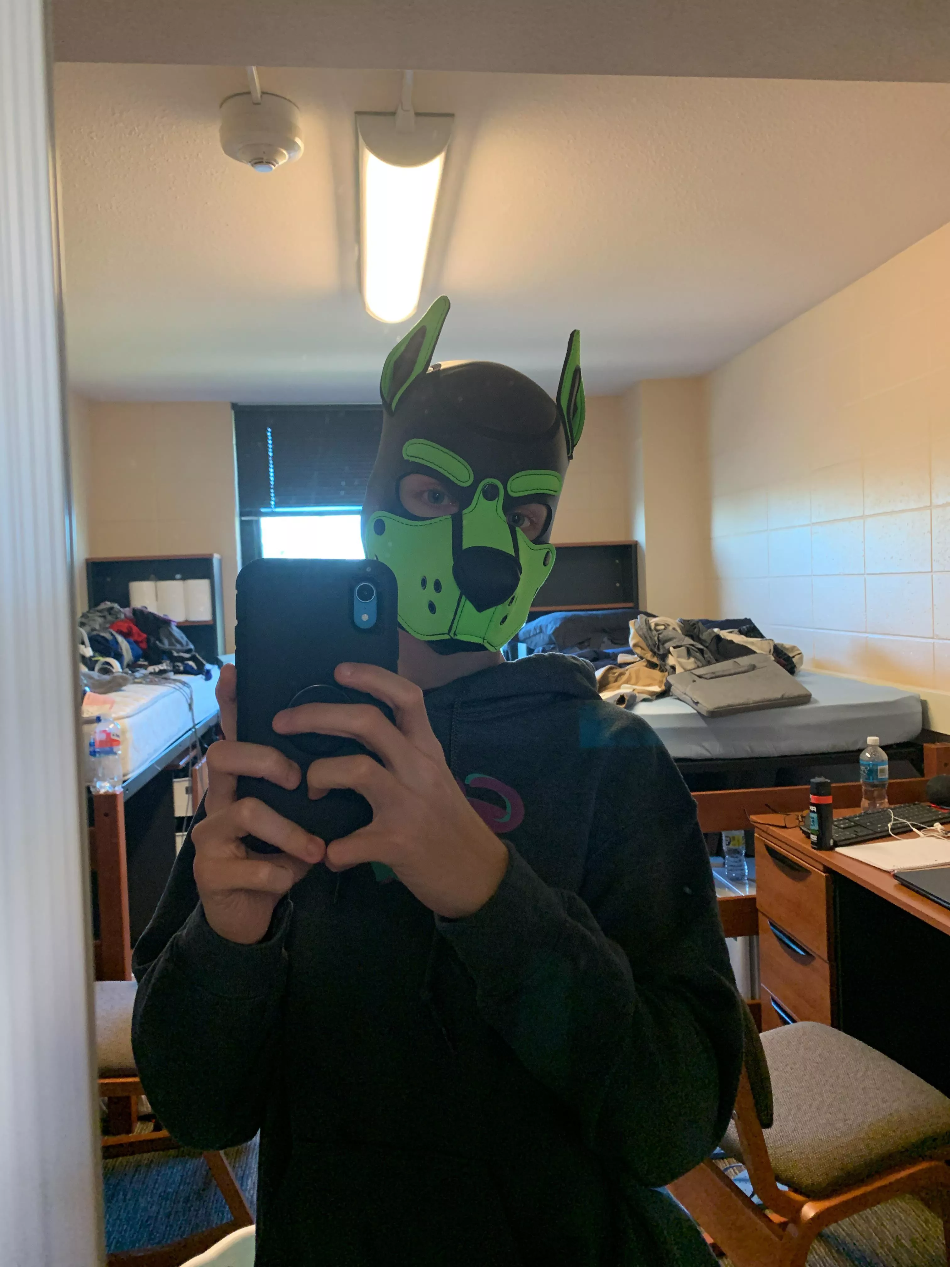 Look who made it to college! 🐾