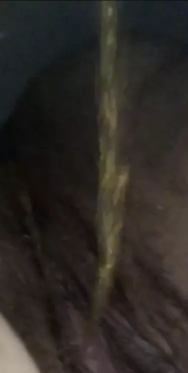 Old pic—- I gotta pee so bad rn I think it’s gonna look like this again but this time in the shower