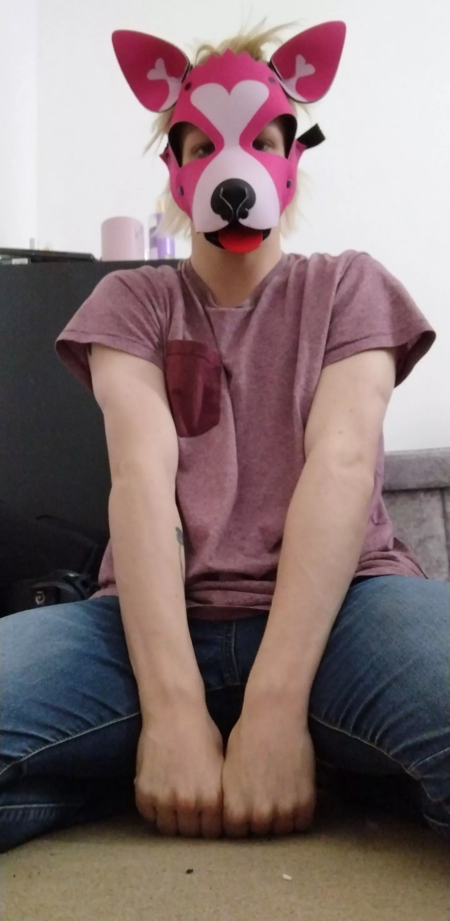 thank you reddit pups for makeing me feel welcome in the community again 🐶