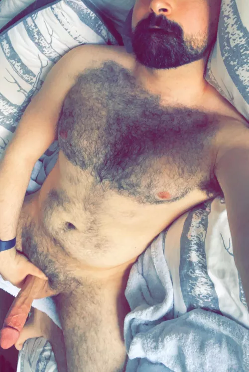 Daddy wants someone to ride him with their hands on his furry pecs (37)