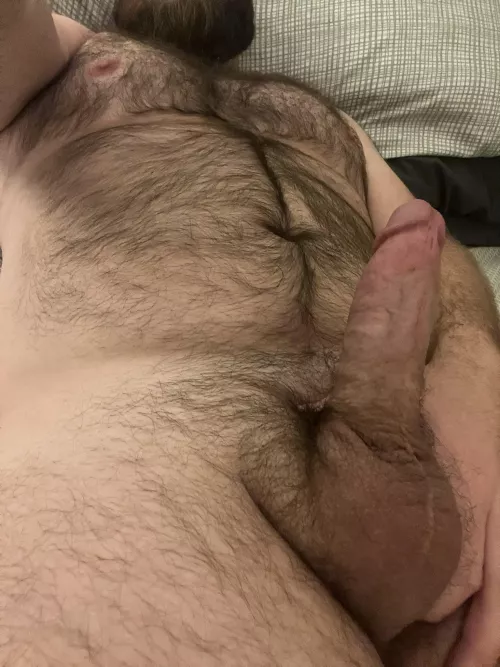 Need someone to climb on top or cuddle up in this fur