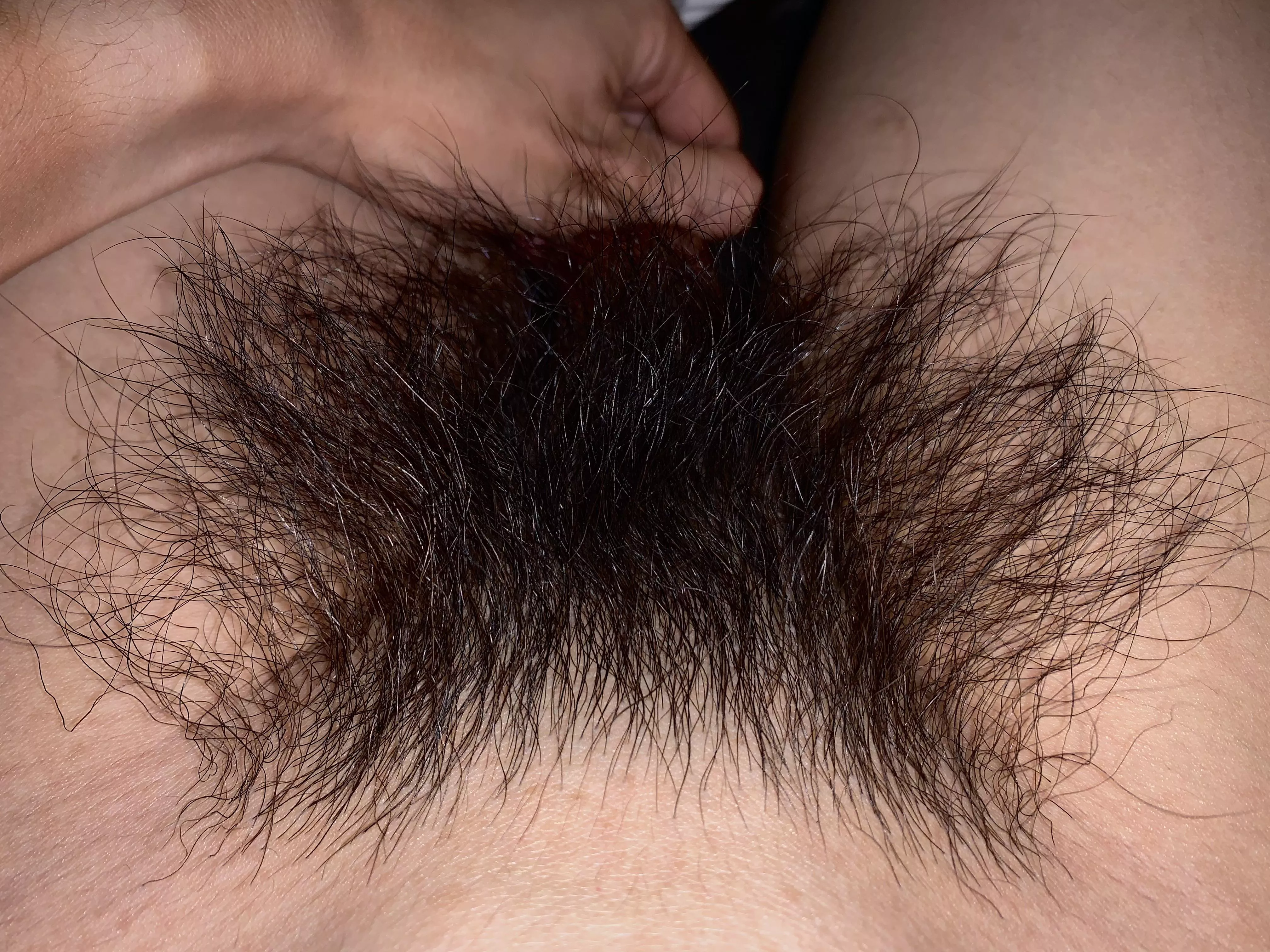 Should I let it grow more or trim it back… what do you think? It’s getting so thick!