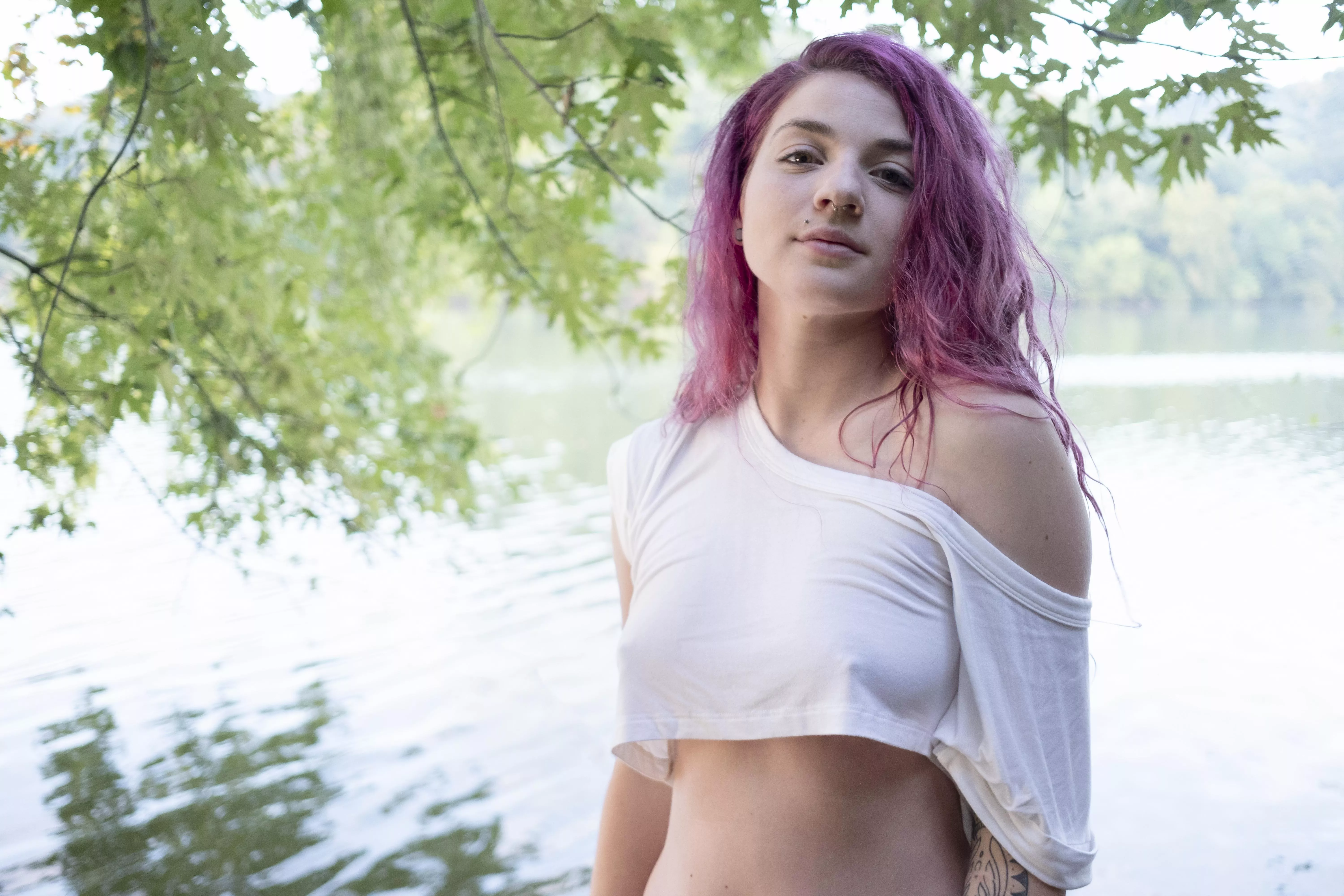 The animations didn't want to load, so here's a still photo. [OC]