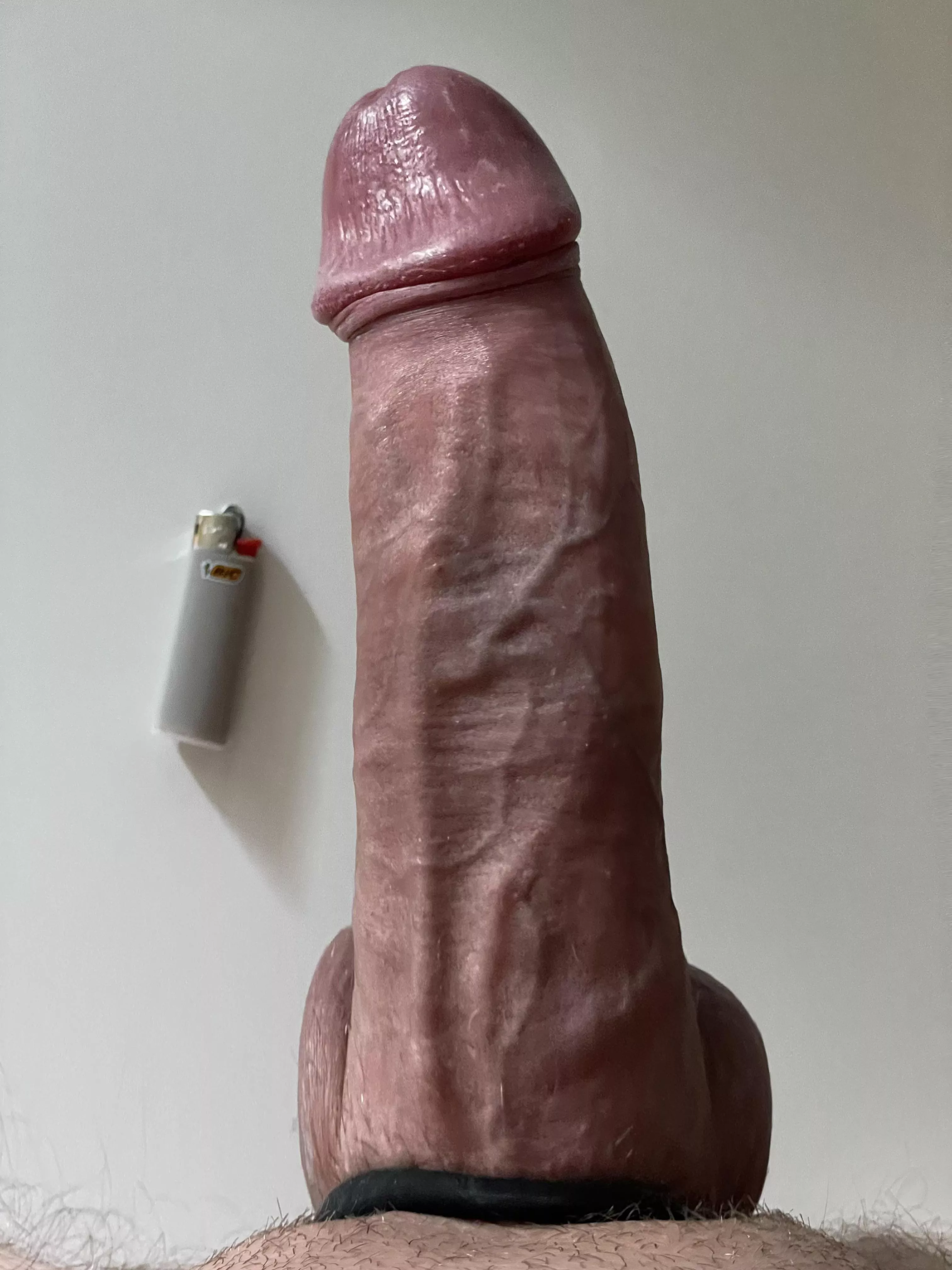 Would it be big enough for you?🥴😟