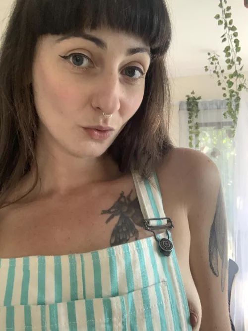 Just a little bit shy…