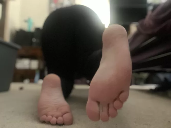 Lovely soles on this beautiful Wednesday night. Comments/DMs welcome 🥰