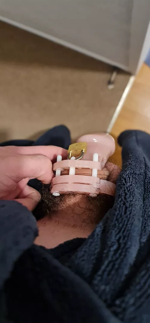 My little sissy clitty. Locked like all good sissies. First time in chastity 💖