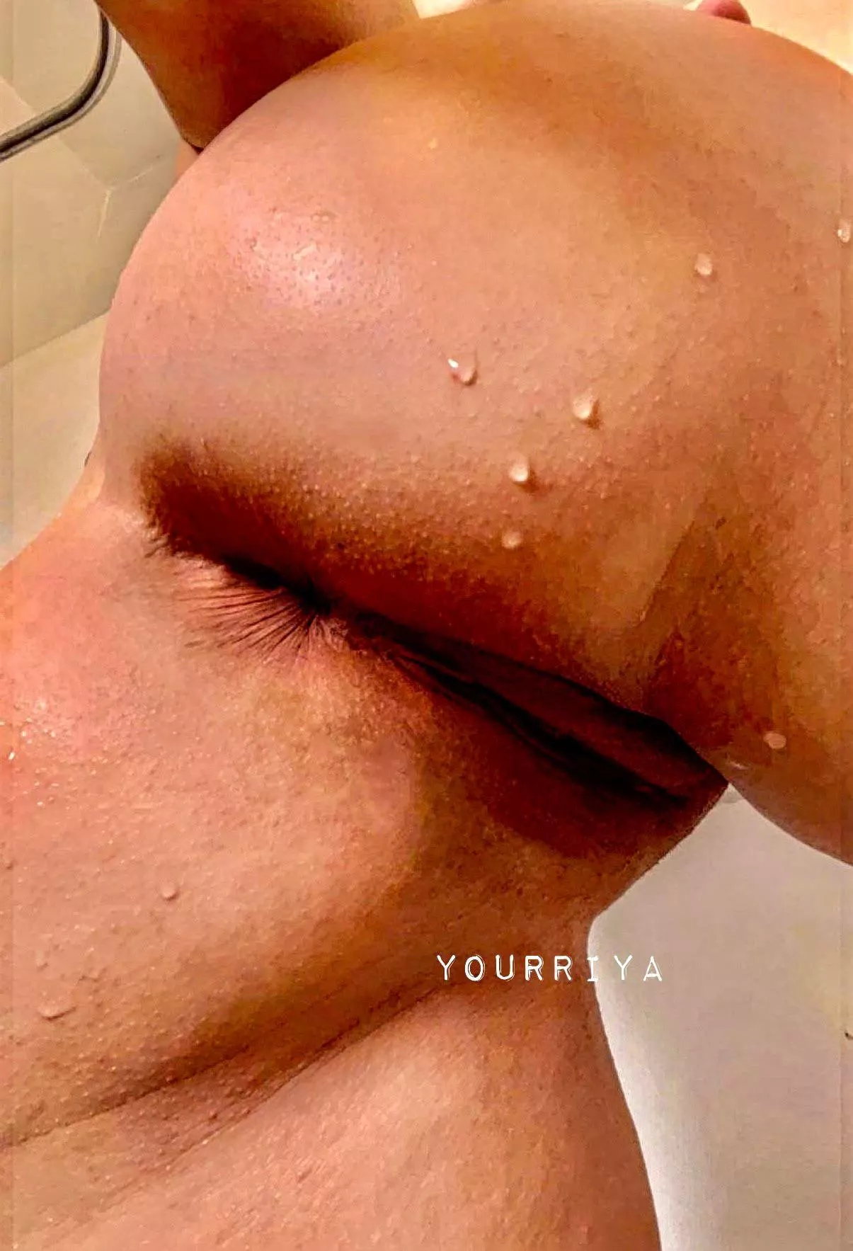 where are all the men who used to eat ass [F]🫦