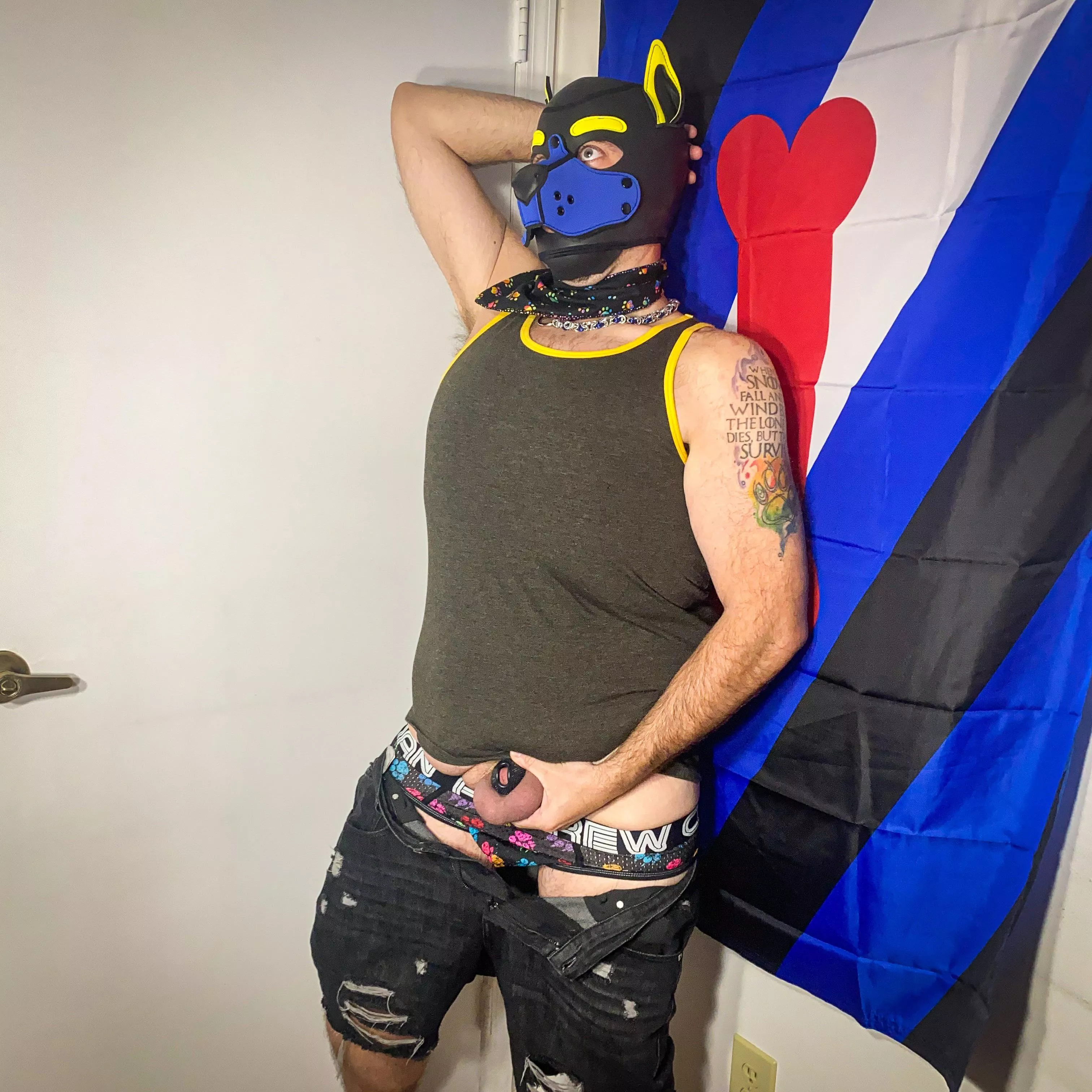 Awruff! 🐶💙💛