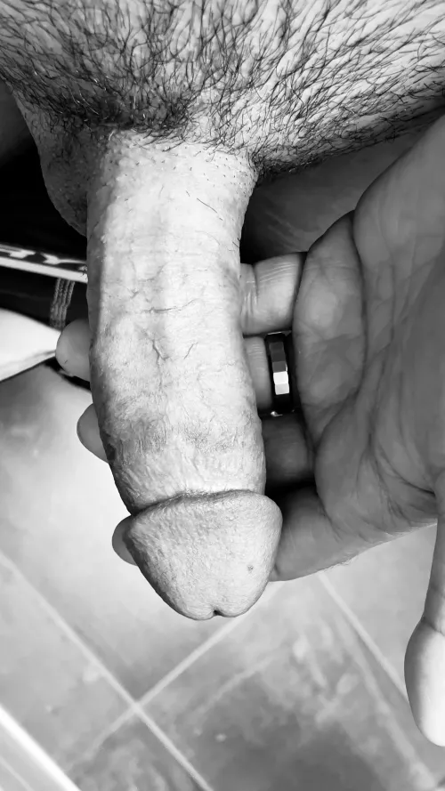 Haven’t posted in a while. I hope you like it.