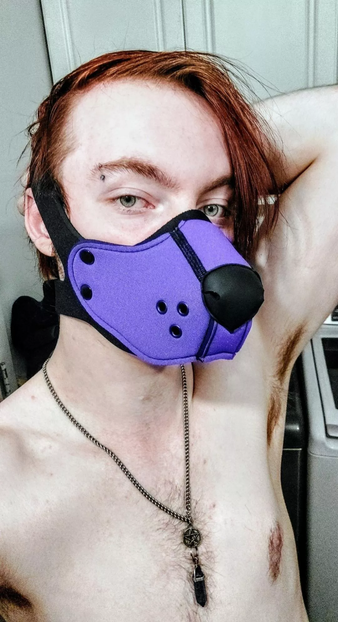 New pup, first time wearing a muzzle. Am I a good boy?