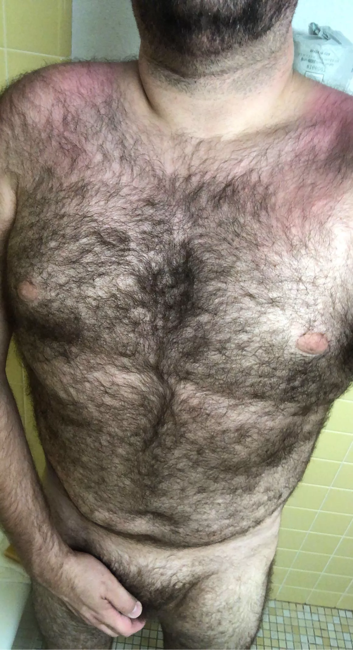 “Too big” and “too hairy” is what I hear a lot. Anyone here appreciate that and actually like a thick guy? Lookin to chat.