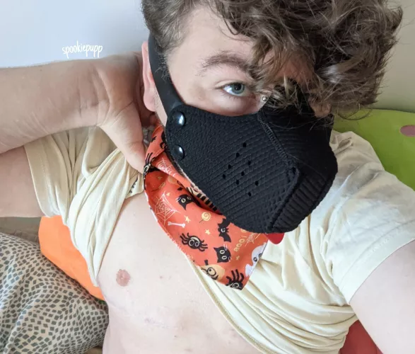 Belly rubs, please ?