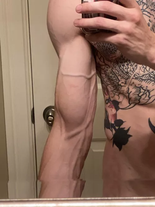 My arms aren’t the only thing super veiny 😏 (M)