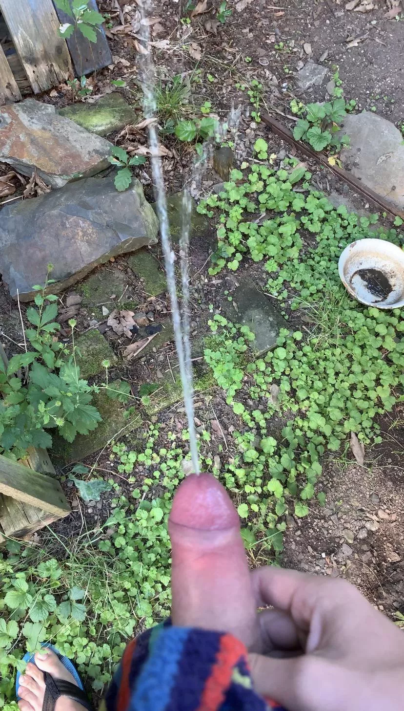 Please help me to get 100 followers. I will do something which one of you choose 🙏