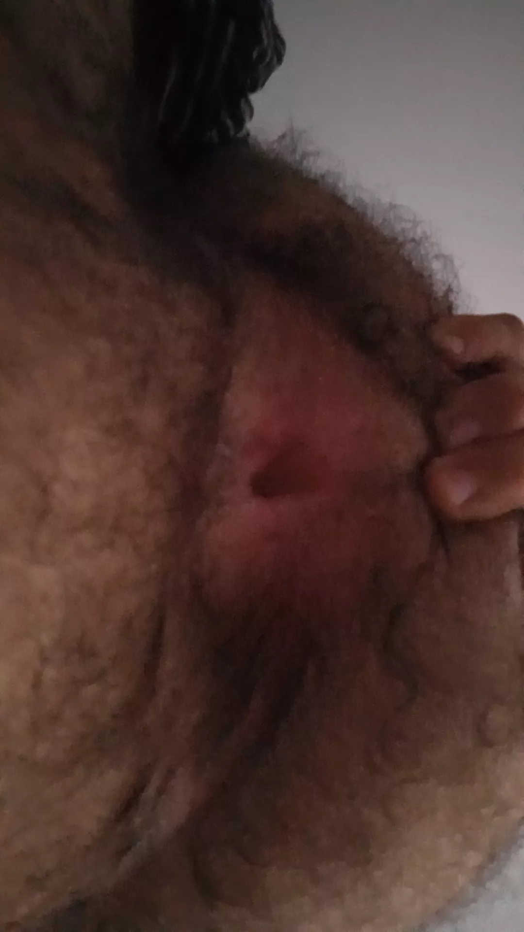 all of my life i was bullied for being hairy so this my lucky day, i found this group(20 yo arab)