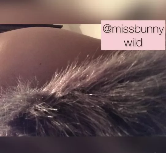 I’ve got the best pics from an upper angle wearing this foxy anal plug, if you want them they’ll be yours 💖I love them!