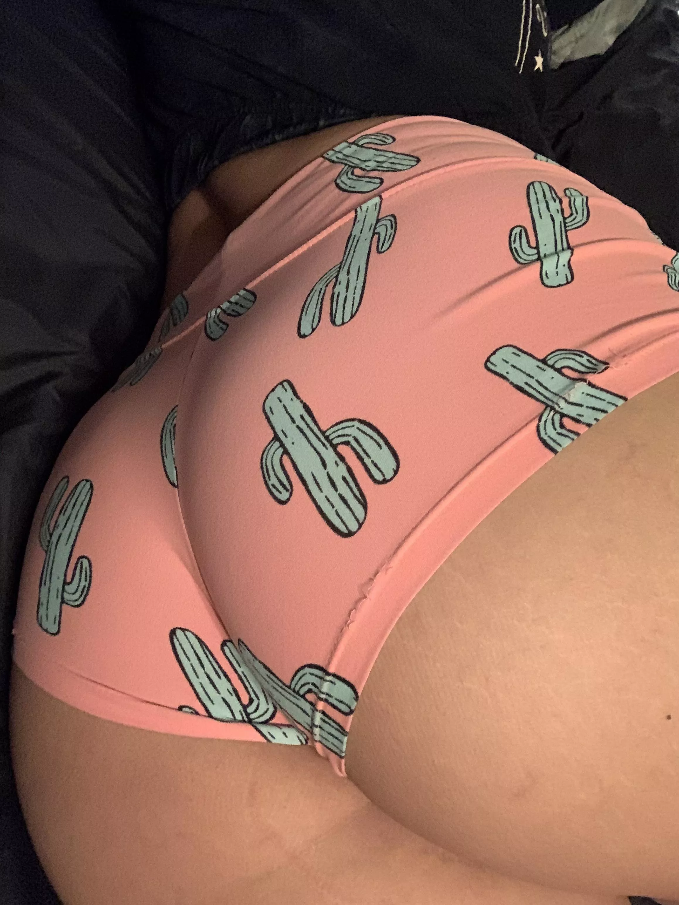 Do you like my [F] 🌵 shorts?