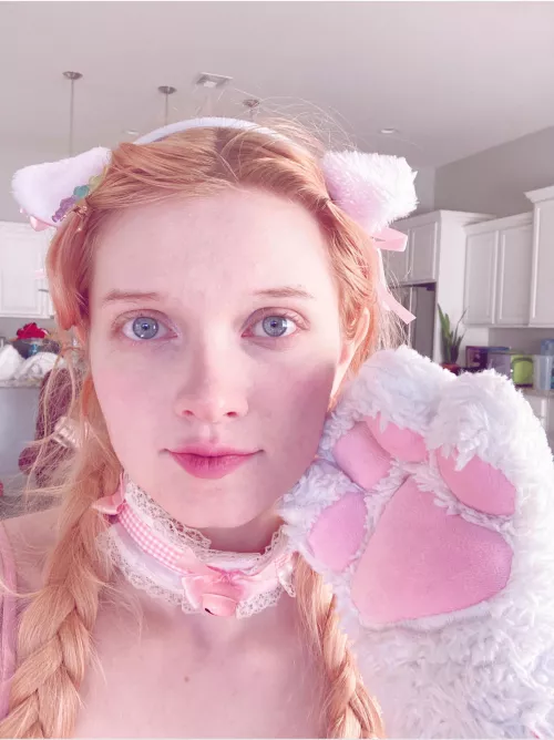 I’m the cutest kitten (Babielolipup)