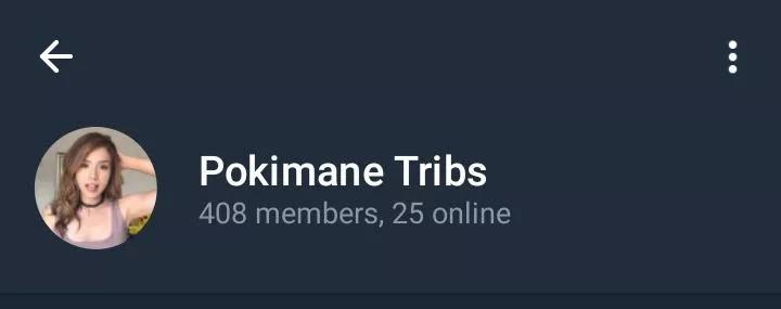 Pokimane Group with content, free, but I need you to do me a favor, obs: it is mandatory to have Telegram